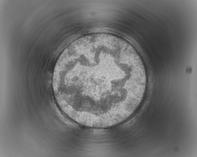 X0000114020849200911131225