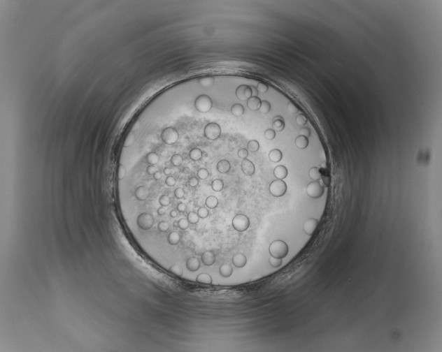 X0000114020851200911131225