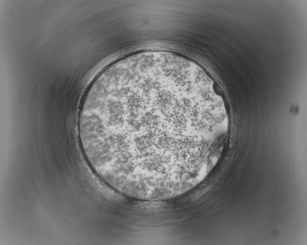 X0000114020853200911131225