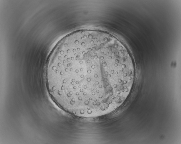 X0000114020855200911131225