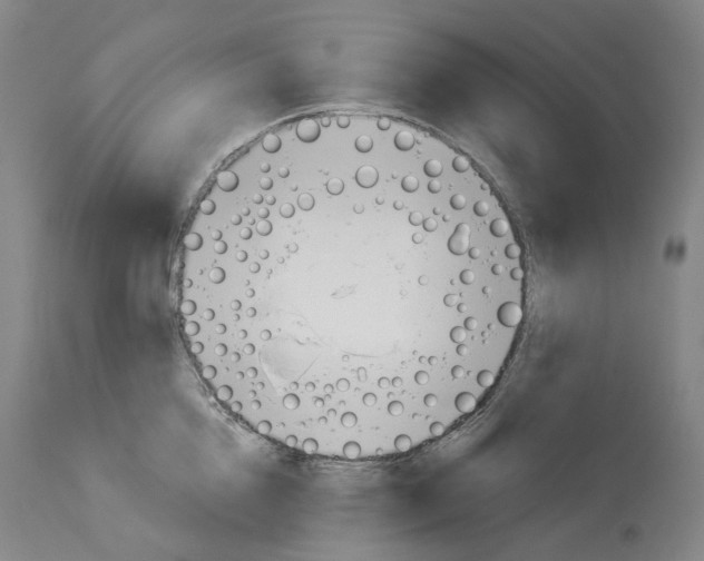 X0000114020856200911131225