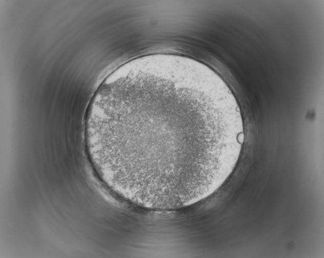 X0000114020858200911131225