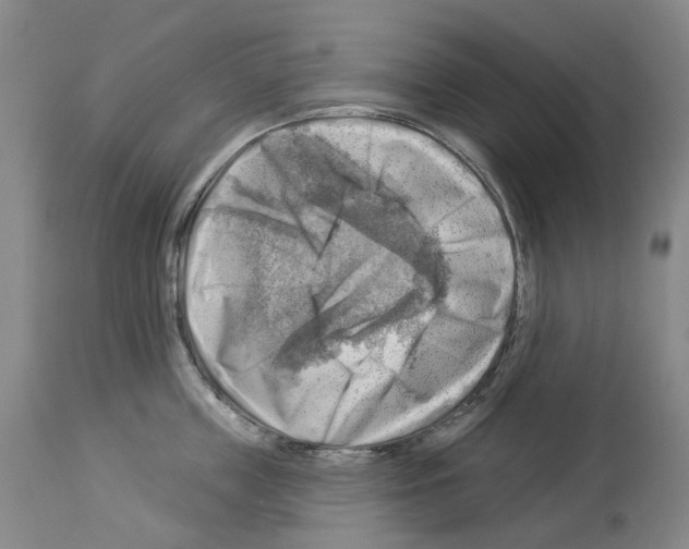 X0000114020859200911131225