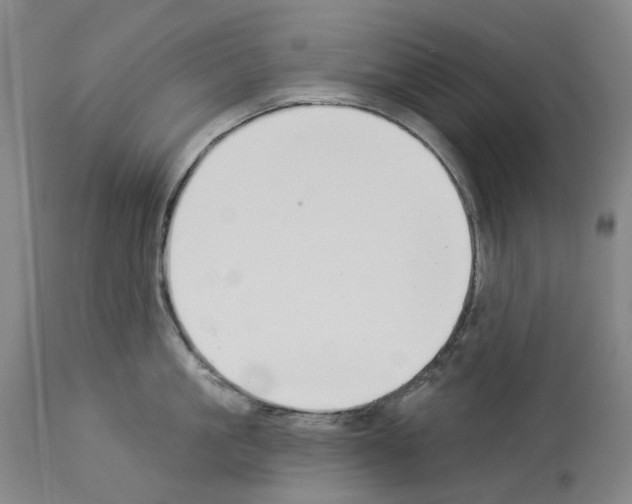 X0000114020861200911131225