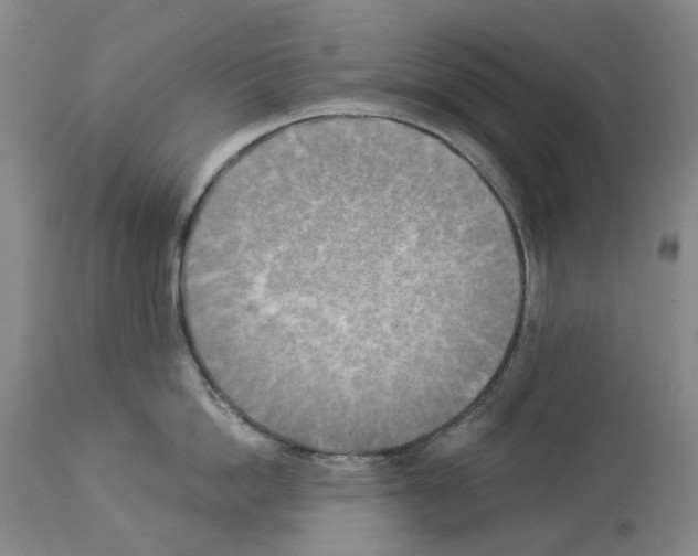 X0000114020862200911131225