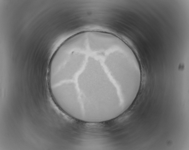 X0000114020863200911131225