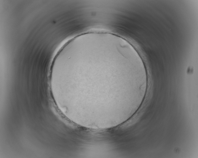 X0000114020864200911131225