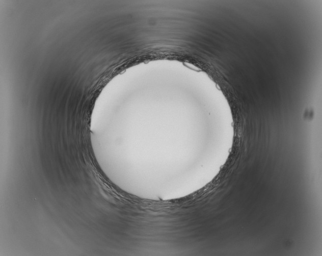 X0000114020868200911131224