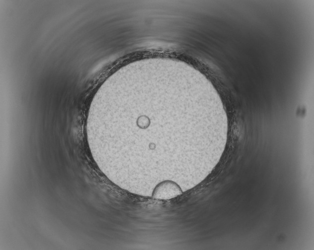 X0000114020869200911131224