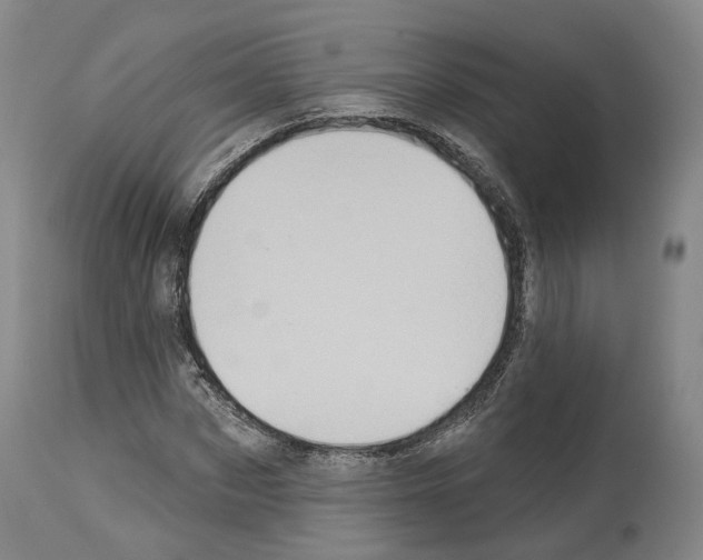 X0000114020873200911131224