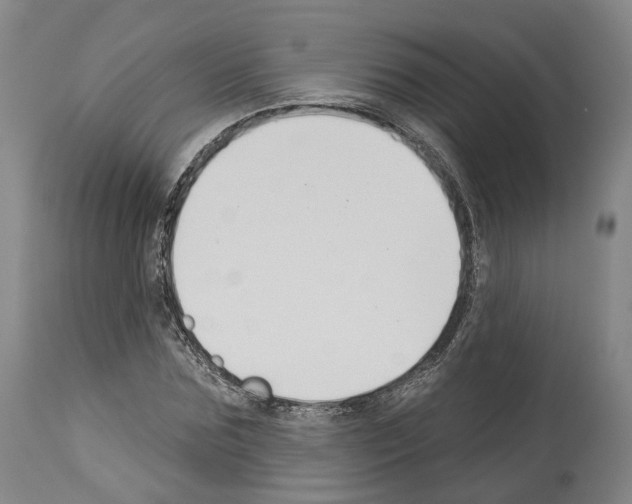 X0000114020875200911131224