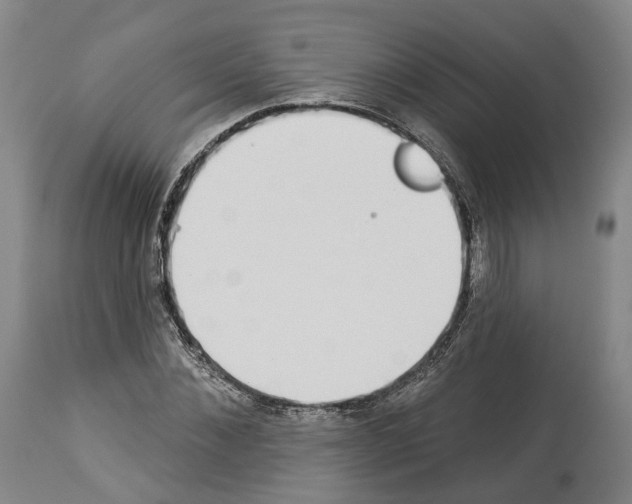 X0000114020876200911131224