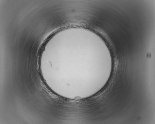 X0000114020878200911131224