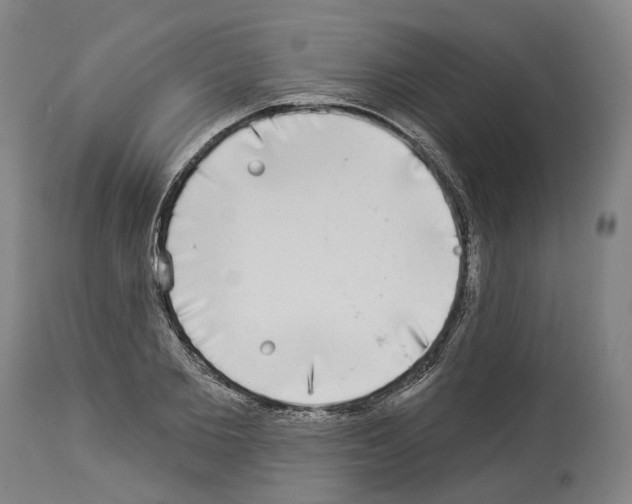 X0000114020885200911131224