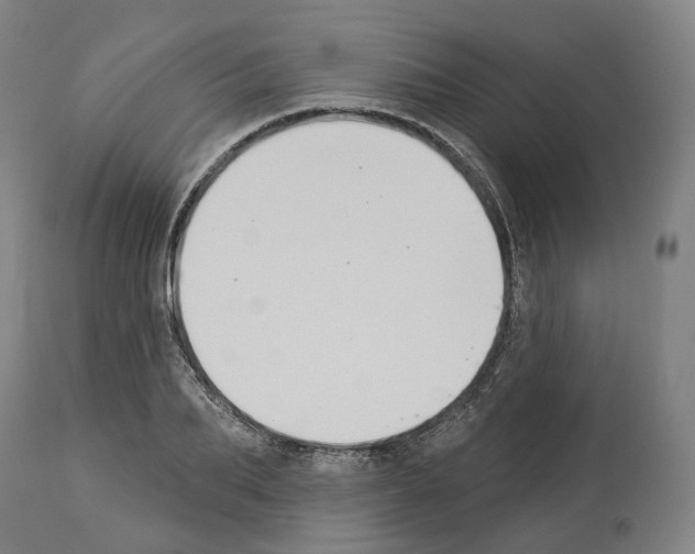 X0000114020887200911131224