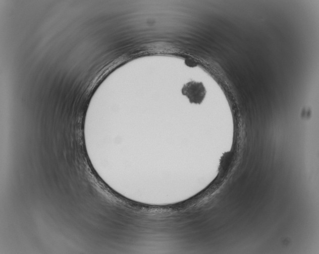 X0000114020889200911131224