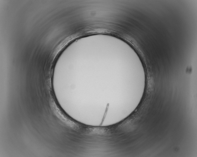 X0000114020890200911131224