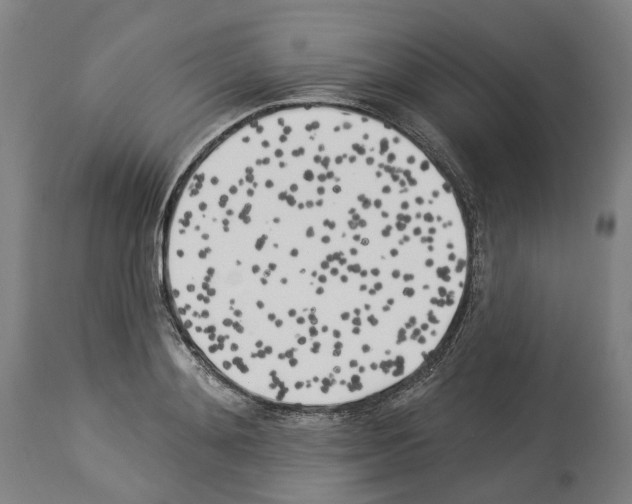 X0000114020892200911131224