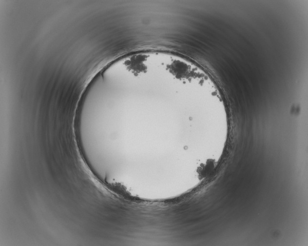 X0000114020893200911131224