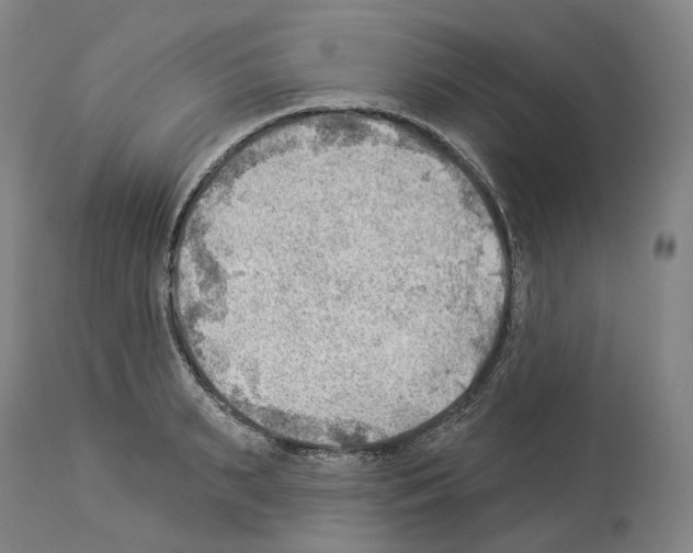 X0000114020895200911131224