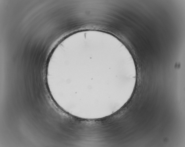 X0000114020896200911131224