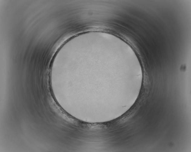 X0000114020899200911131224