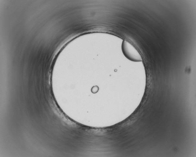 X0000114020900200911131224