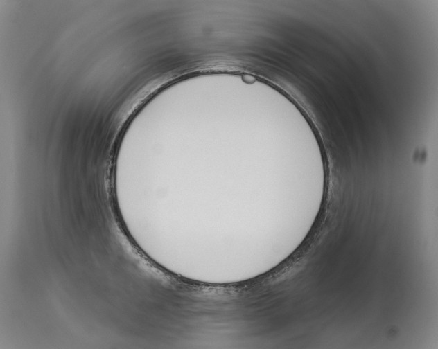 X0000114020901200911131224