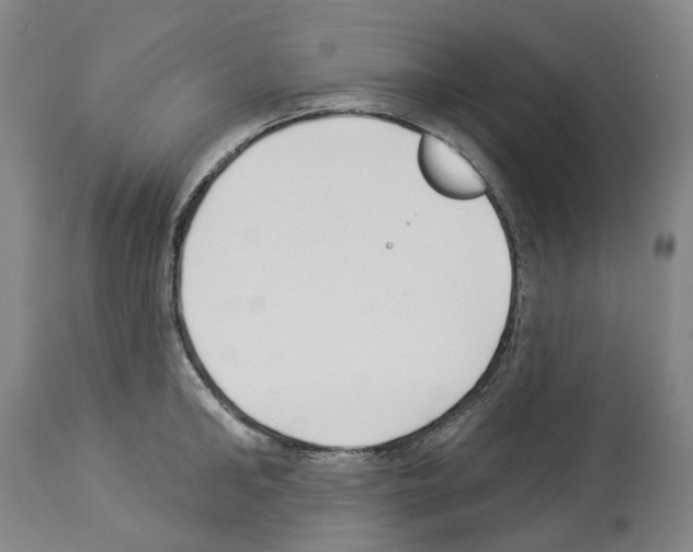 X0000114020902200911131224