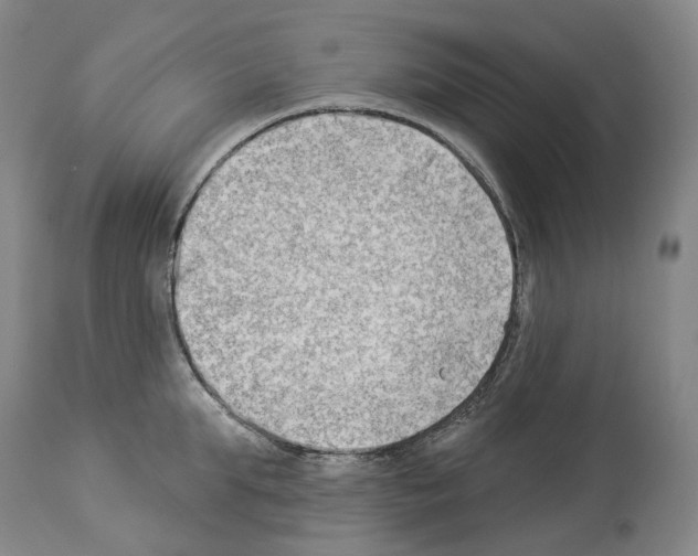 X0000114020903200911131224