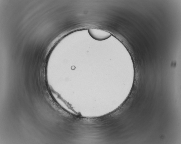 X0000114020904200911131224