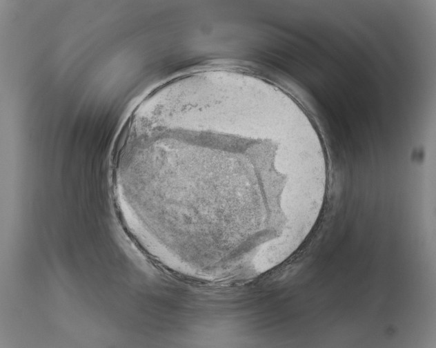 X0000114020907200911131224