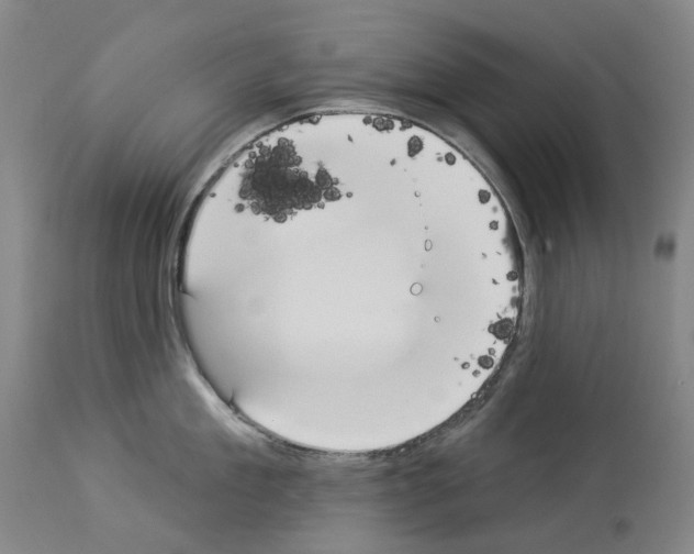 X0000114020909200911131224