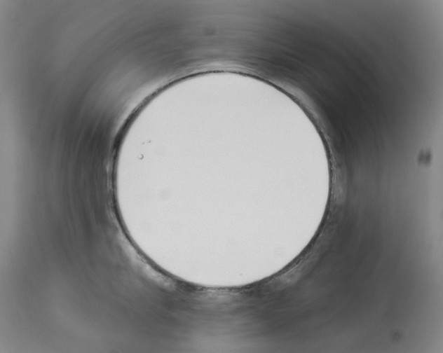 X0000114020910200911131224