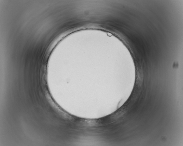 X0000114020911200911131224