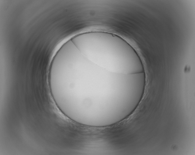 X0000114020912200911131224