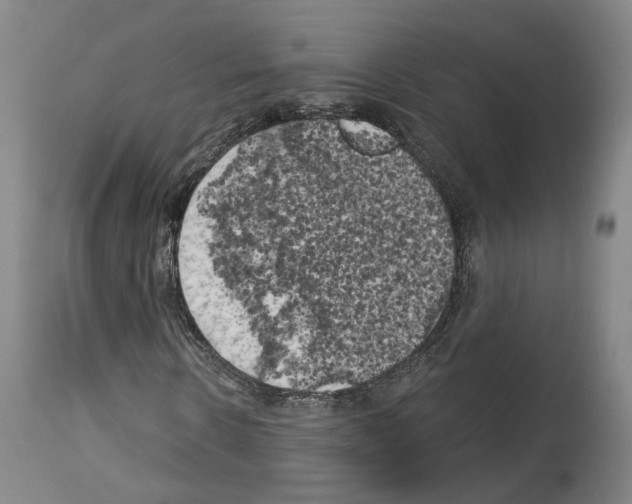 X0000114020914200911131223