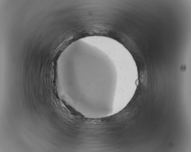 X0000114020915200911131223