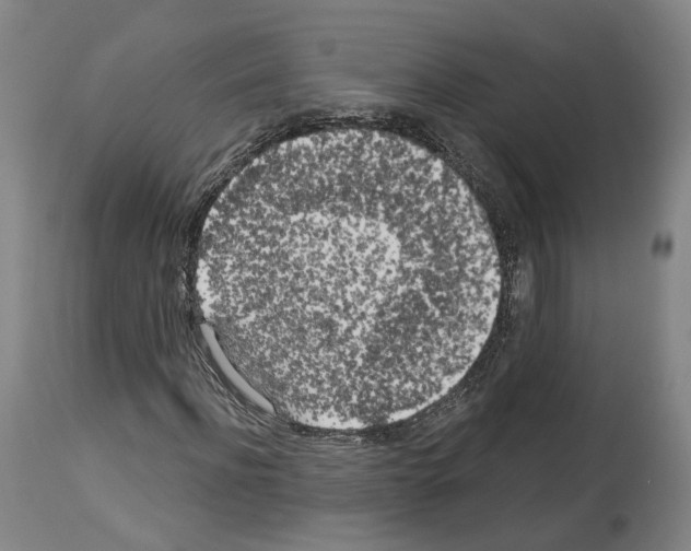 X0000114020916200911131223