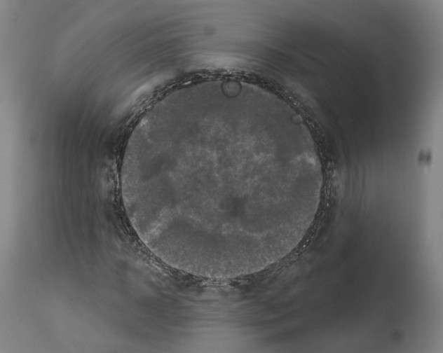 X0000114020918200911131223