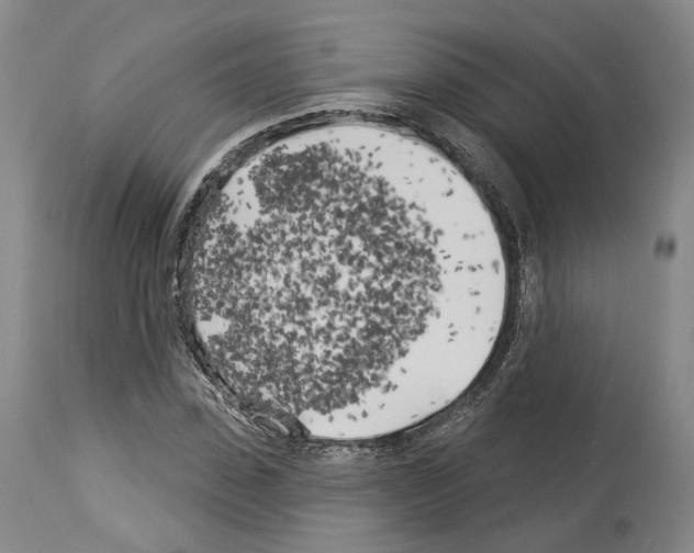 X0000114020923200911131223