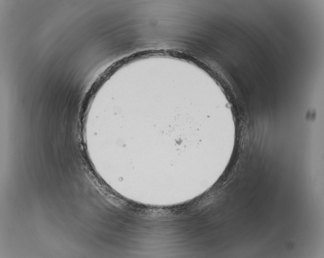 X0000114020927200911131223