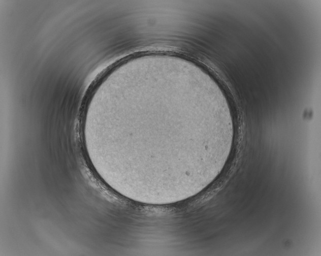 X0000114020928200911131223