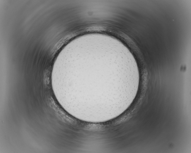 X0000114020929200911131223