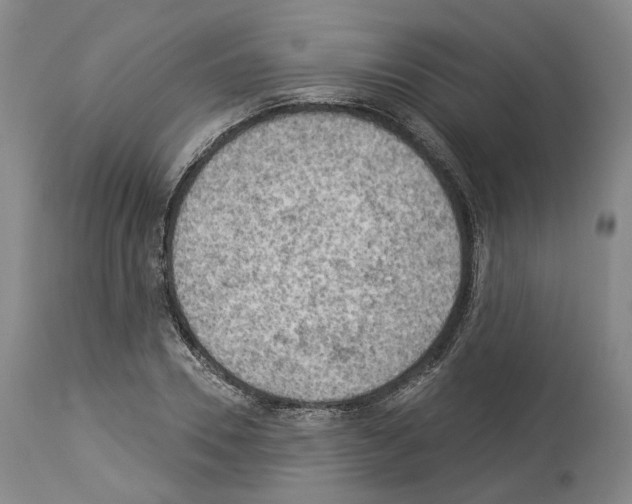 X0000114020930200911131223