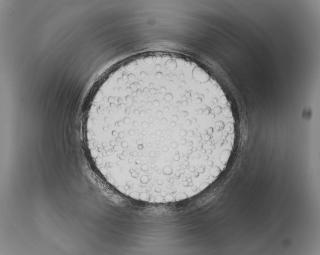 X0000114020931200911131223