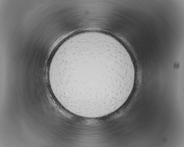 X0000114020933200911131223