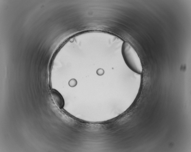 X0000114020940200911131223