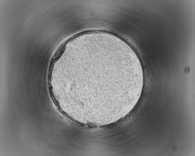 X0000114020943200911131224