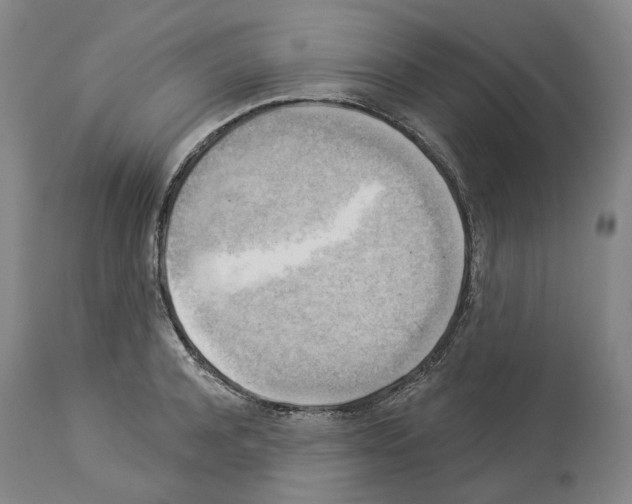 X0000114020944200911131224